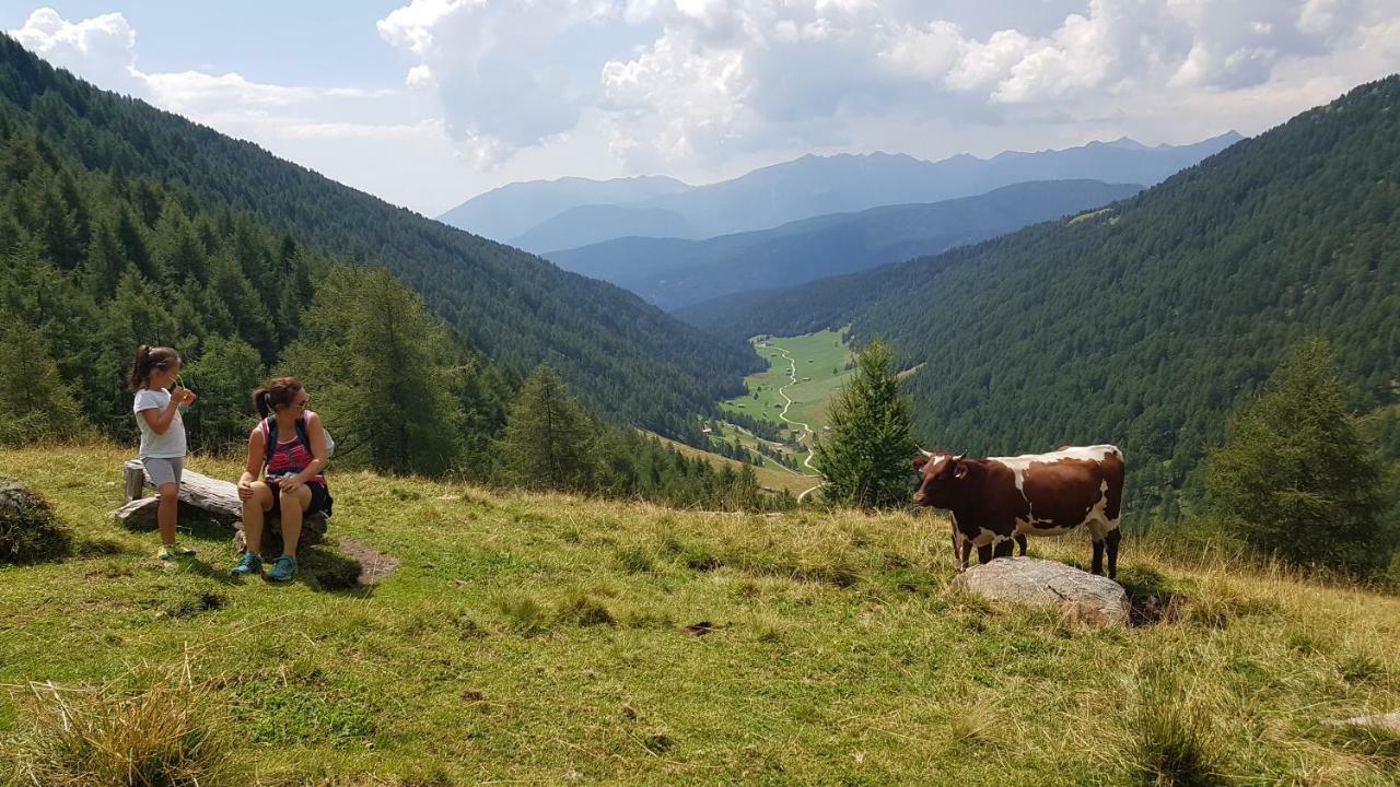 Pension Sonnenhof マランツァ エクステリア 写真